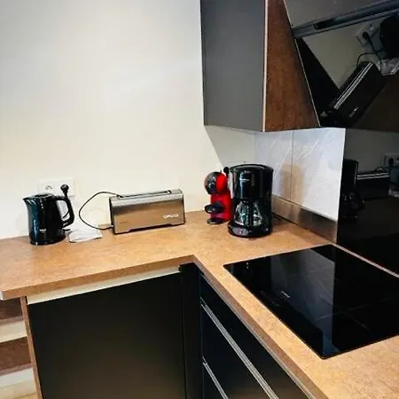 A Deux Pas Des Plages, Appartement-villa Climatise Avec Piscine Et Parc Cannes