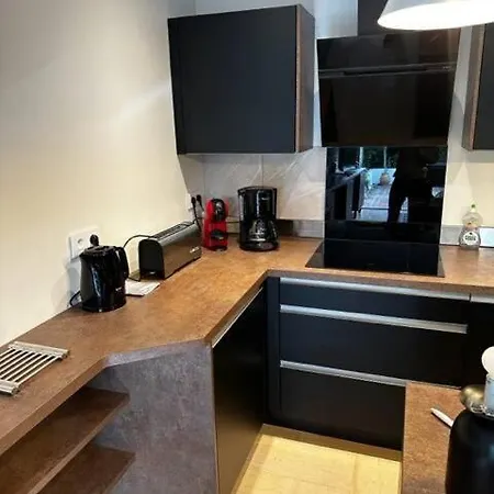 A Deux Pas Des Plages, Appartement-villa Climatise Avec Piscine Et Parc דירה קאן